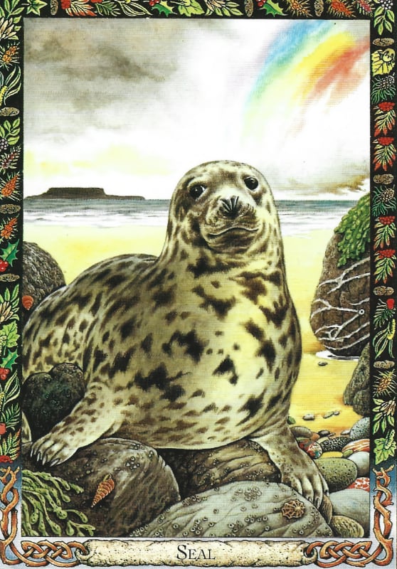 Seal oracle card