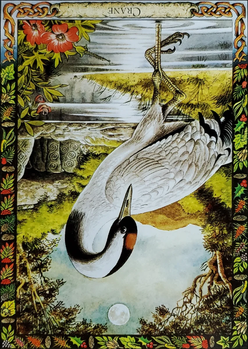 Crane reversed oracle card