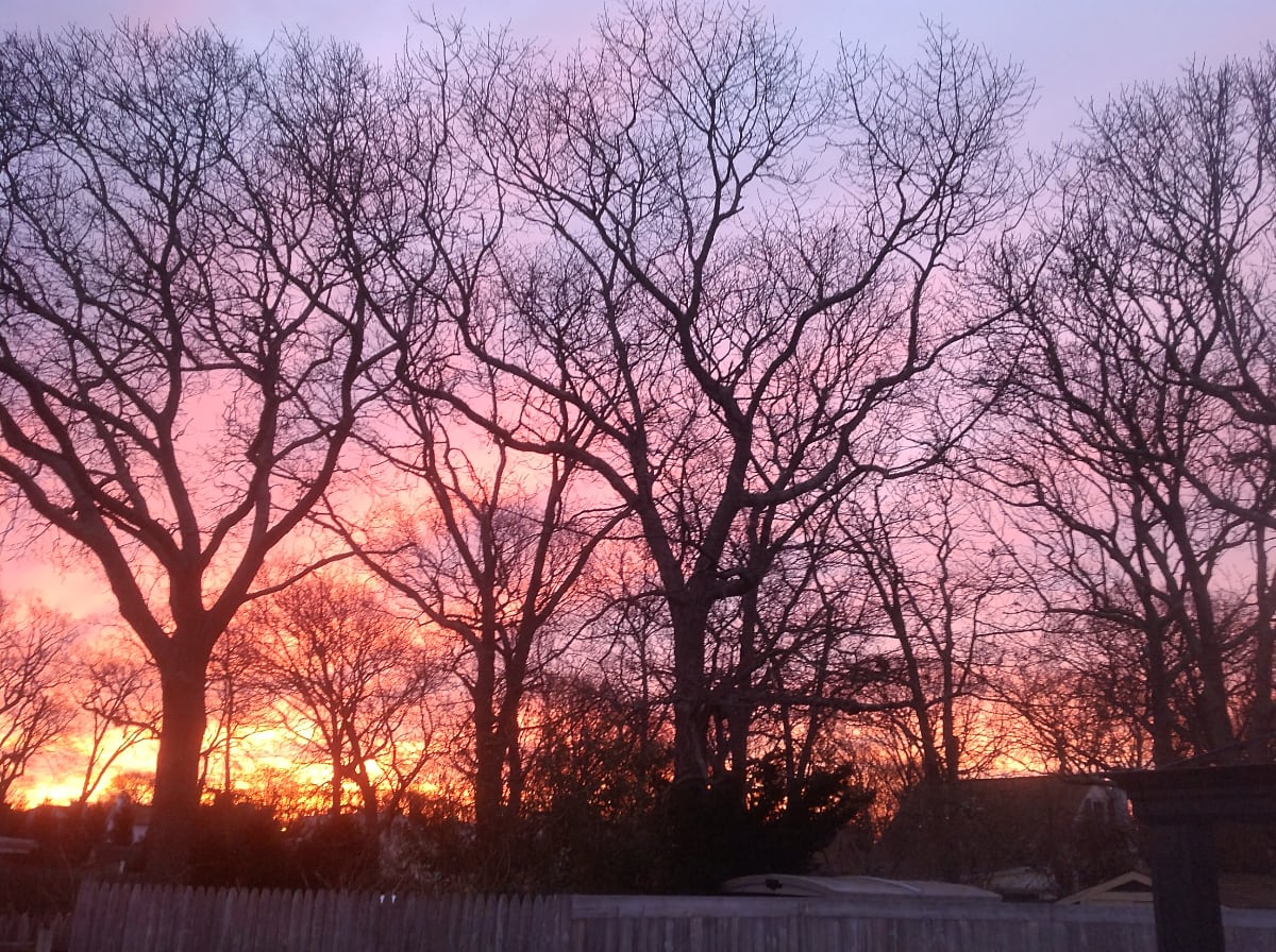 Photo of a purple, pink, and orange sunrise with a copse of bare trees and a wooden fence silhouetted in the foreground, taken the morning before the 2013 North American blizzard hit Long Island.
