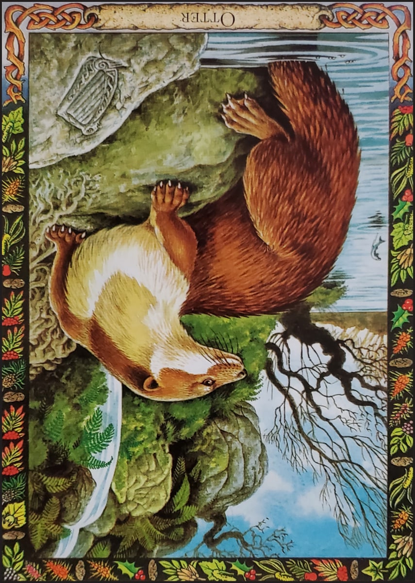 Otter oracle card reversed
