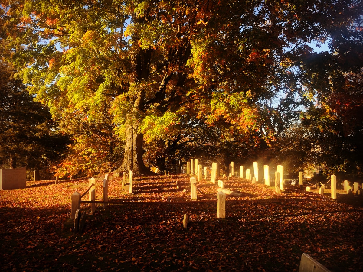 Photo, taken during the golden hour in autumn, of a cemetery with several large trees and various foliage in the background with some blue sky breaking through. The foreground has variously-sized tombstones, some in cordoned-off sections. The ground is covered in leaves.
